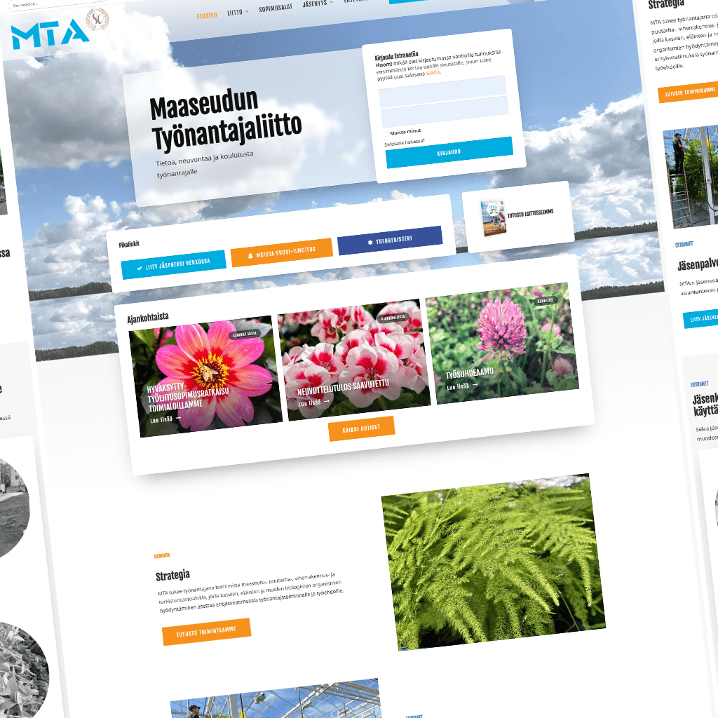 Case MTA